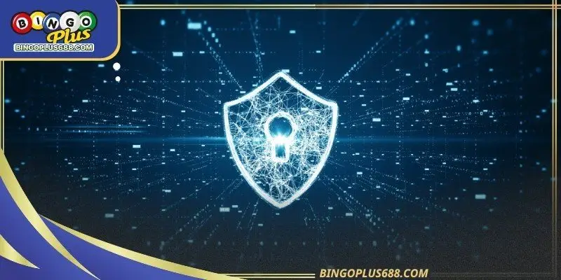 Protecting user rights remains a central objective within privacy policy