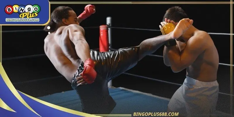 Boxing betting live markets reflect momentum changes almost instantly