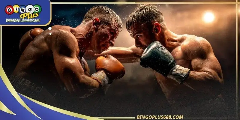 Boxing betting online is naturally volatile because fights can end suddenly due