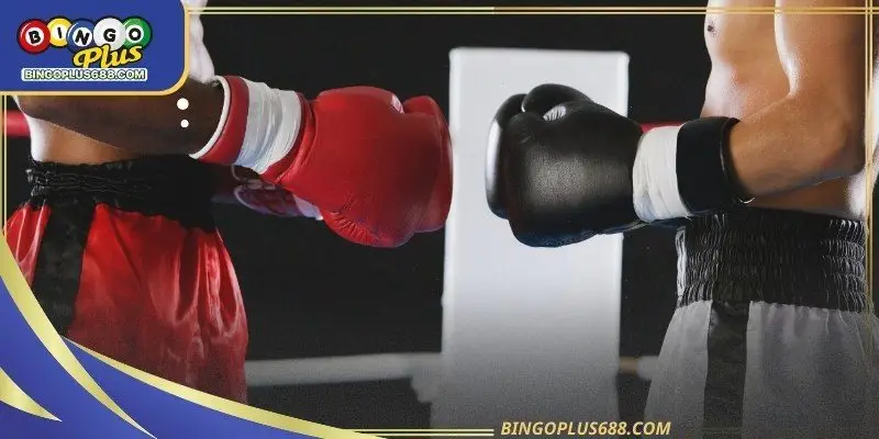 Players must first understand how different betting markets operate