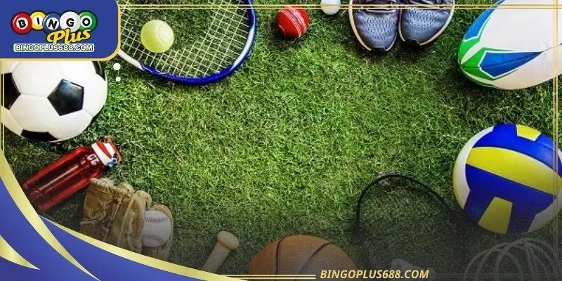 Sports platforms organize content into recognizable formats to simplify