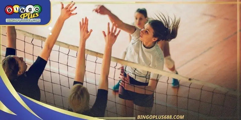 volleyball-betting-ava
