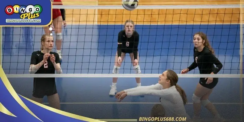 Serve and receive efficiency plays a decisive role in volleyball match outcomes