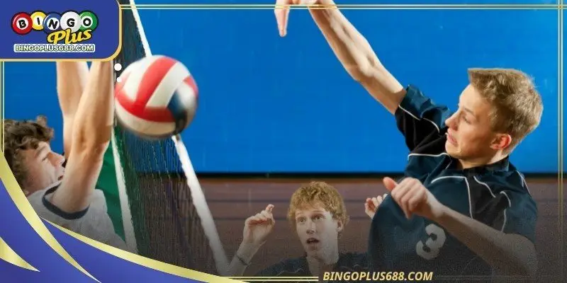 Volleyball betting markets are structured and why they differ from other team
