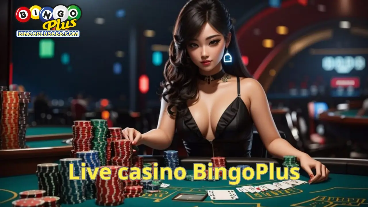 live-casino-bingoplus